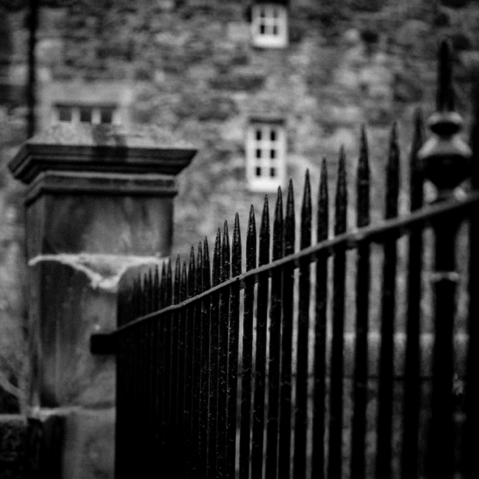 Still from the Tae the Poets video