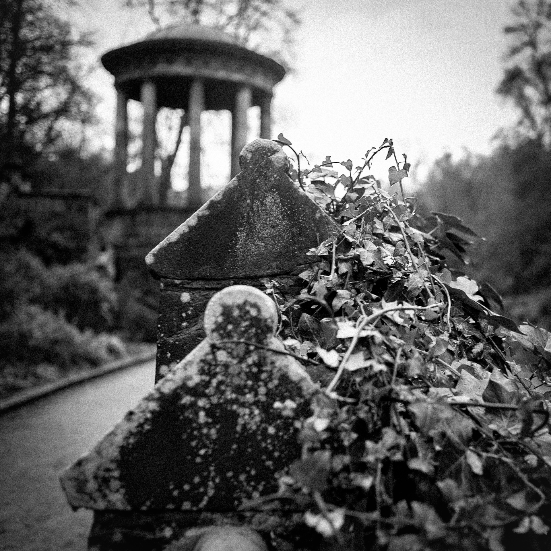 Still from the Tae the Poets video